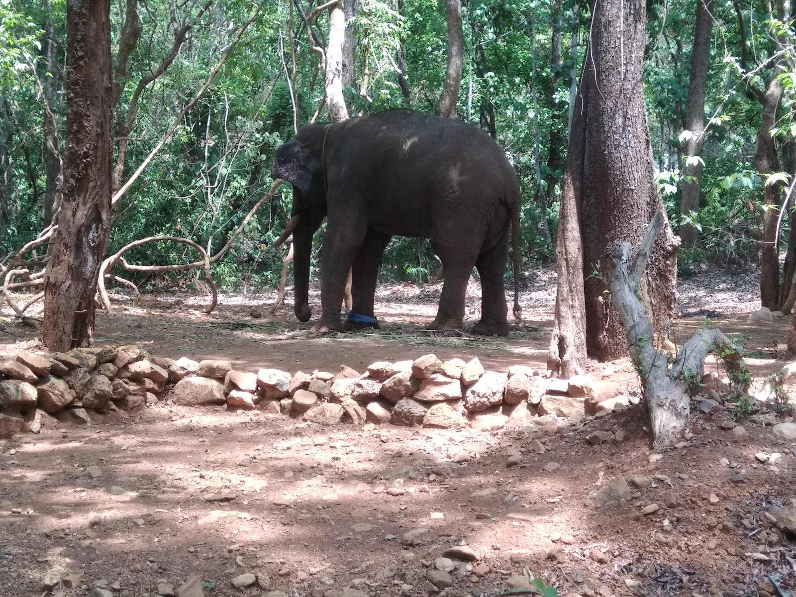 Bondla Wildlife Sanctuary