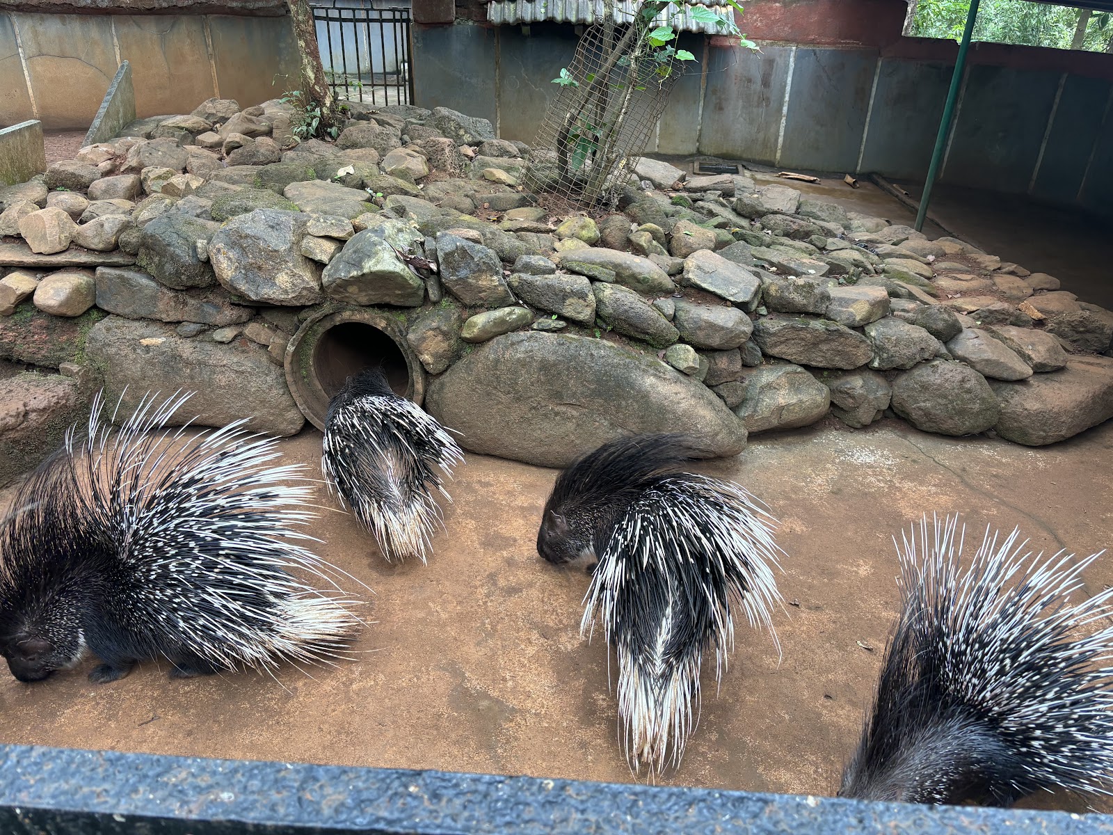 Bondla Wildlife Sanctuary