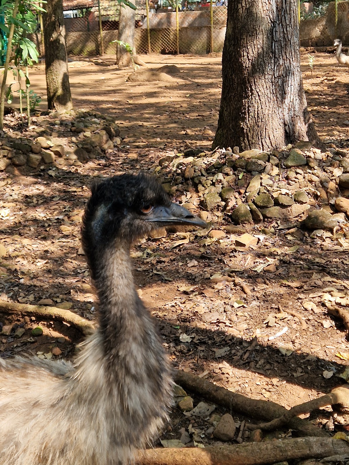 Bondla Wildlife Sanctuary