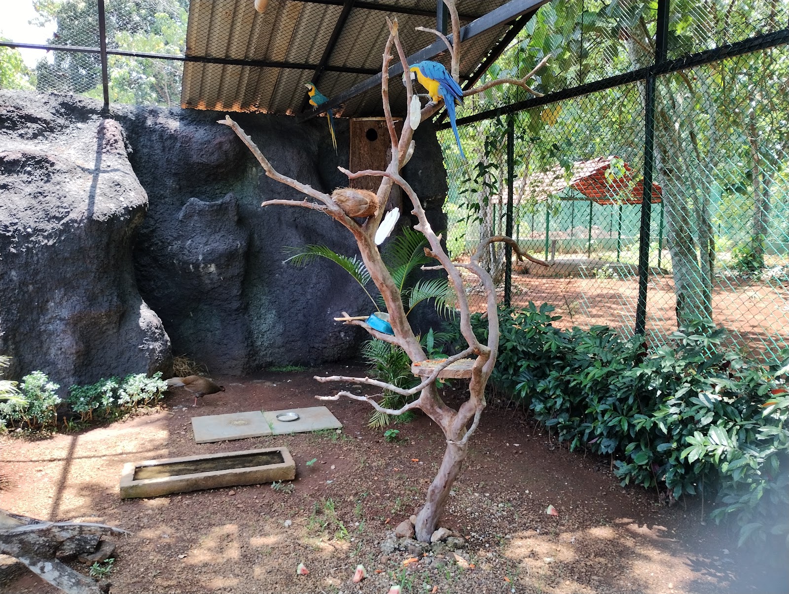 Bondla Wildlife Sanctuary