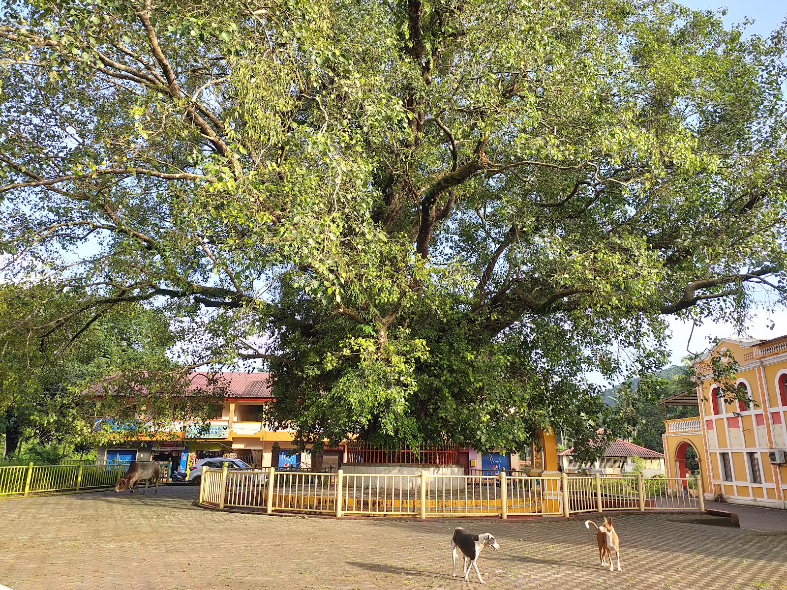Shri Damodar Temple