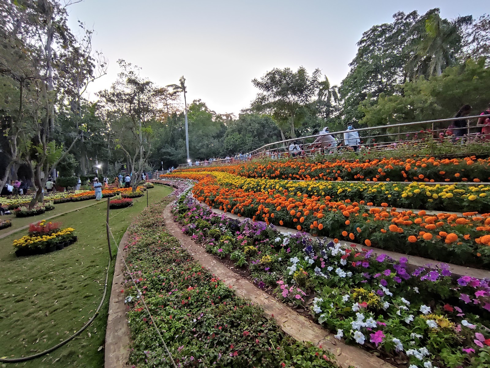 Botanical Garden