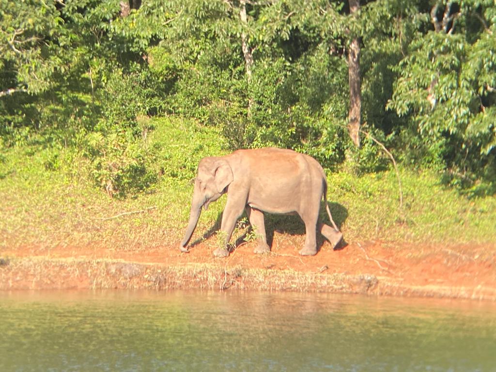 Periyar National Park