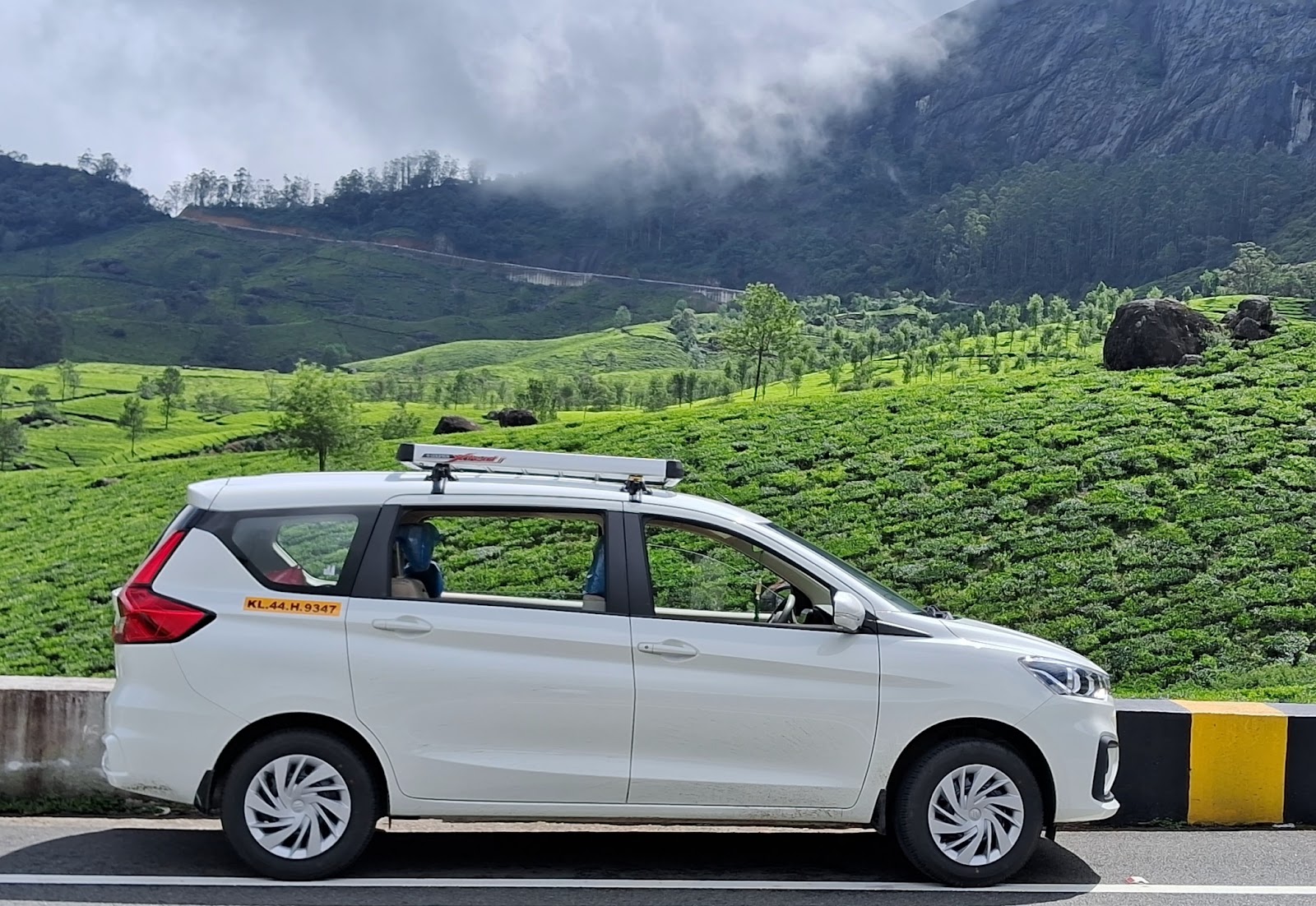 Small Tea Plantation Trail