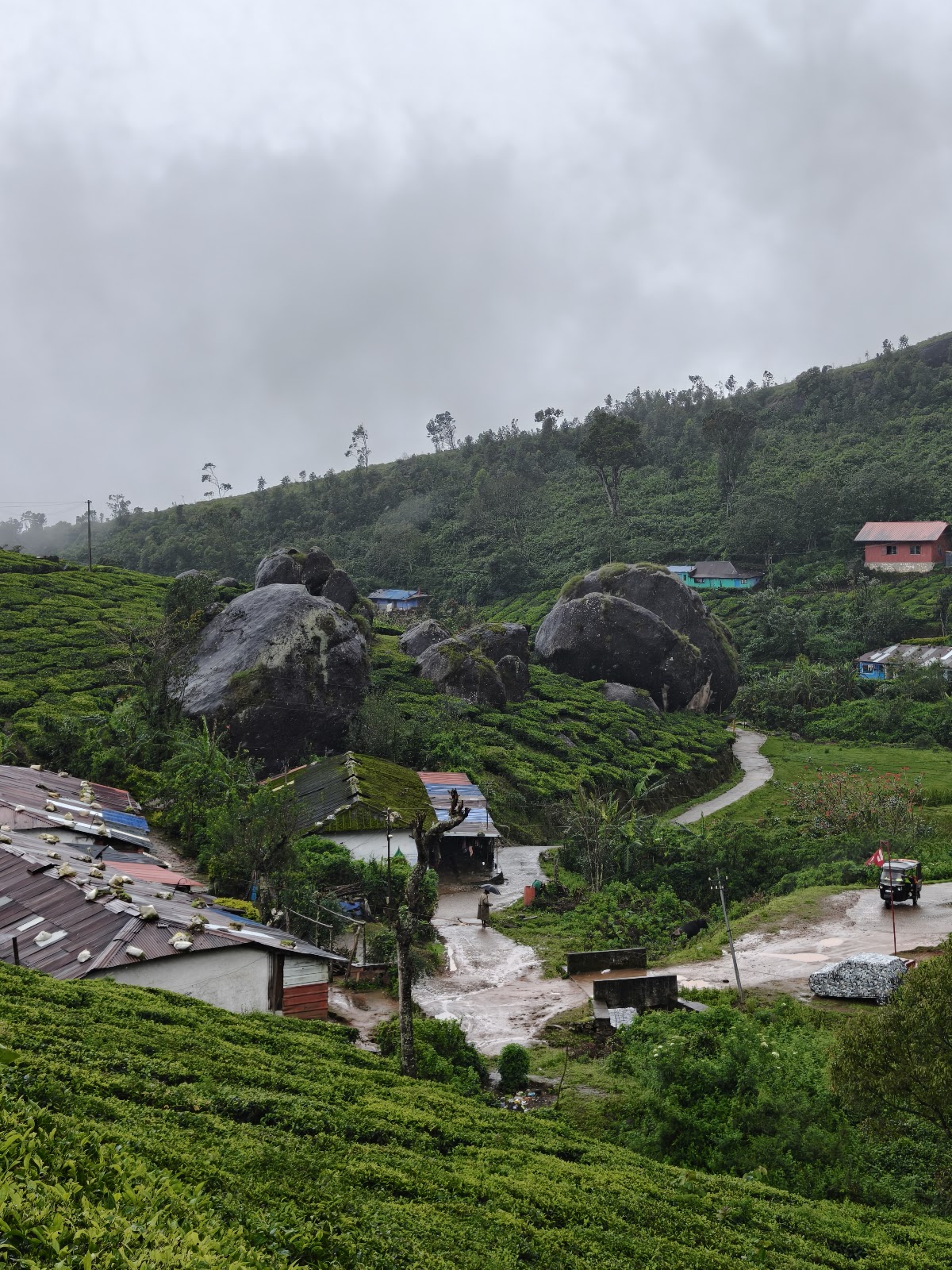 Small Tea Plantation Trail