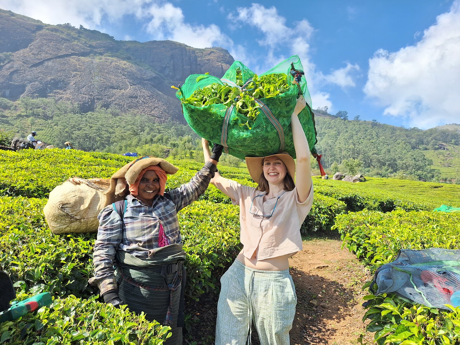 Small Tea Plantation Trail