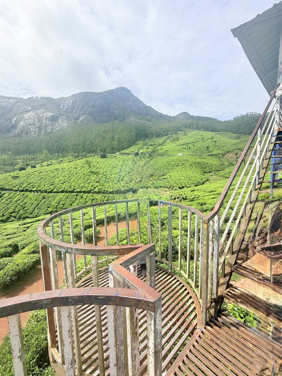 Small Tea Plantation Trail