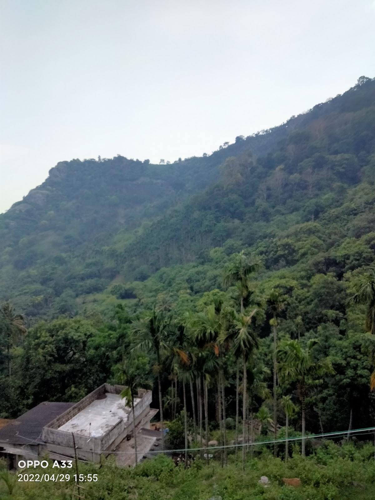 Small Waterfall Stream