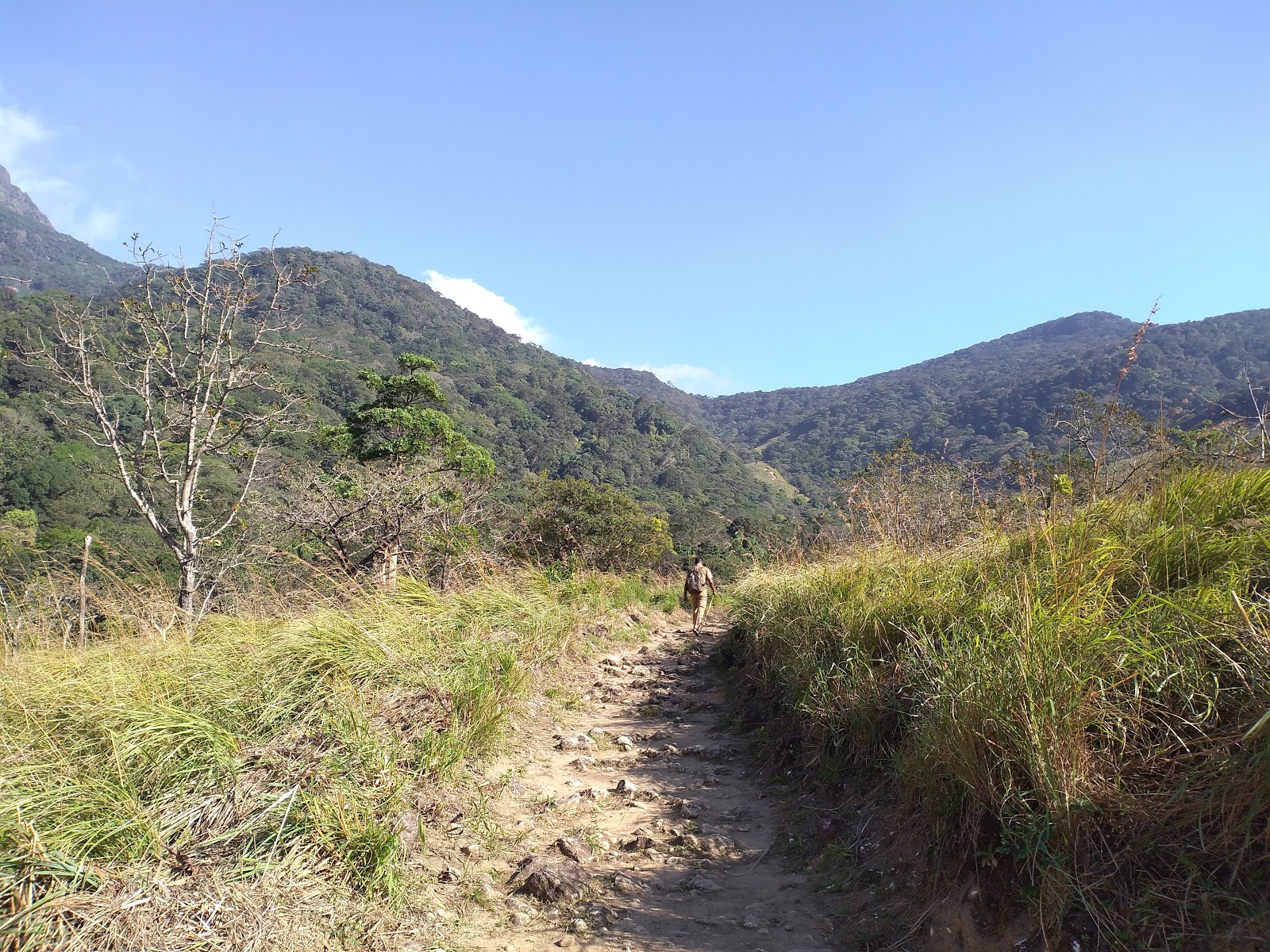 Peppara Wildlife Sanctuary