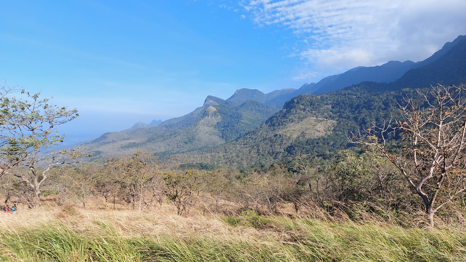 Peppara Wildlife Sanctuary