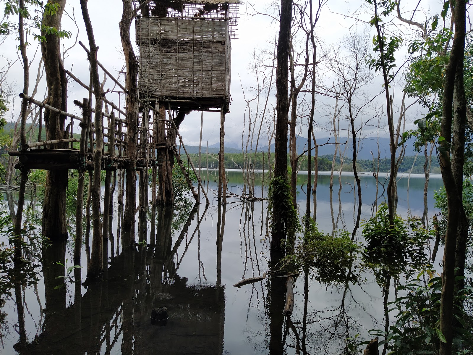 Peppara Wildlife Sanctuary