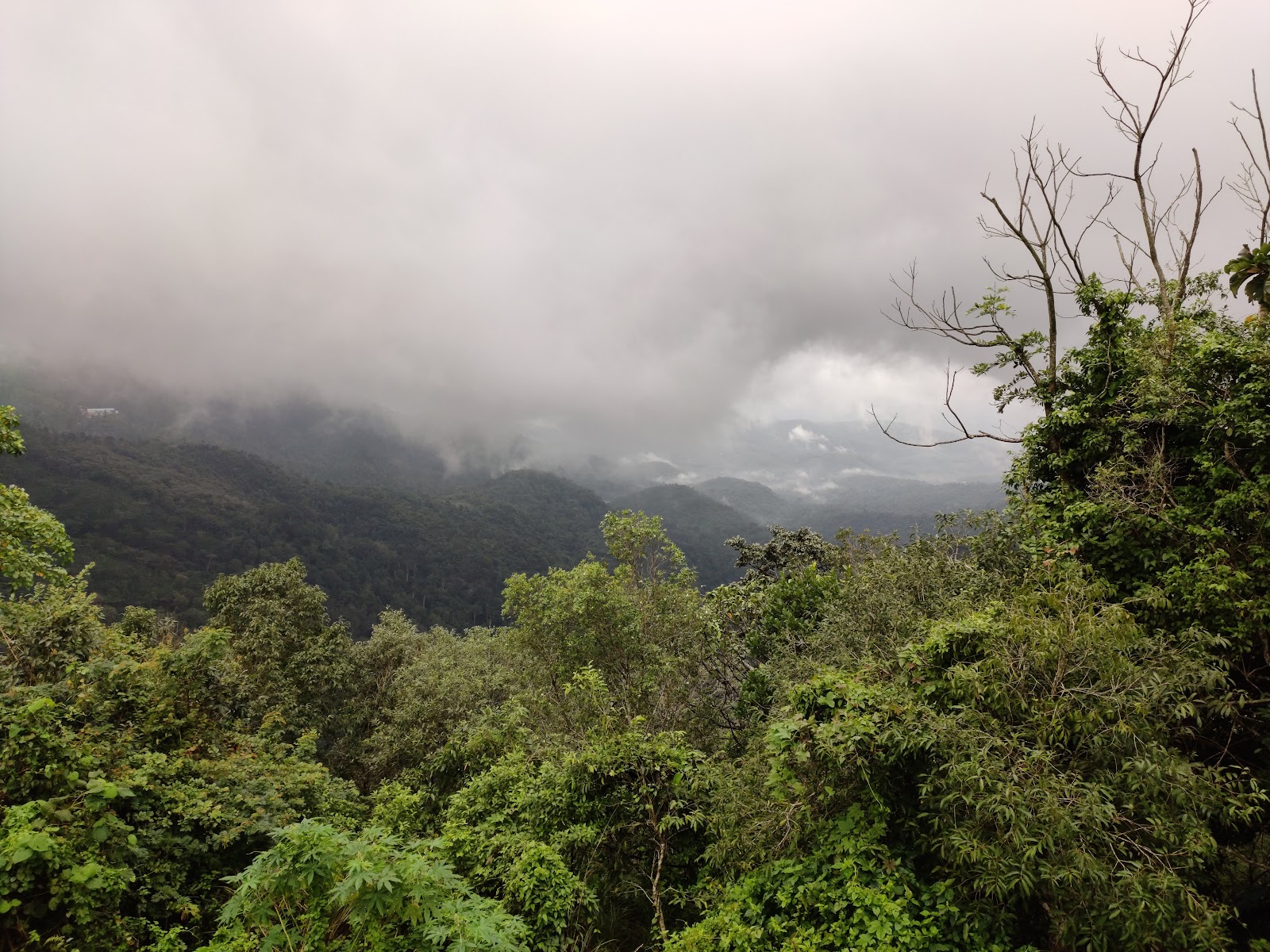 Ponmudi Viewpoint