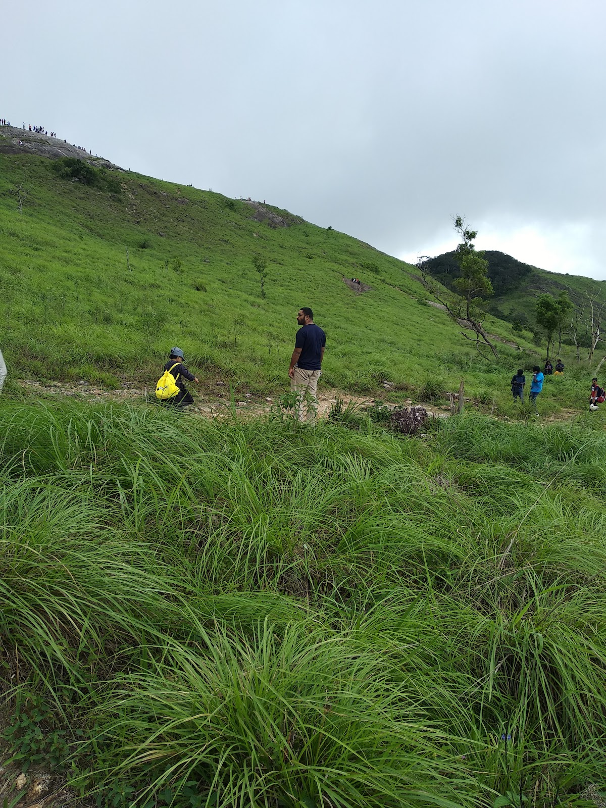 Ponmudi Viewpoint