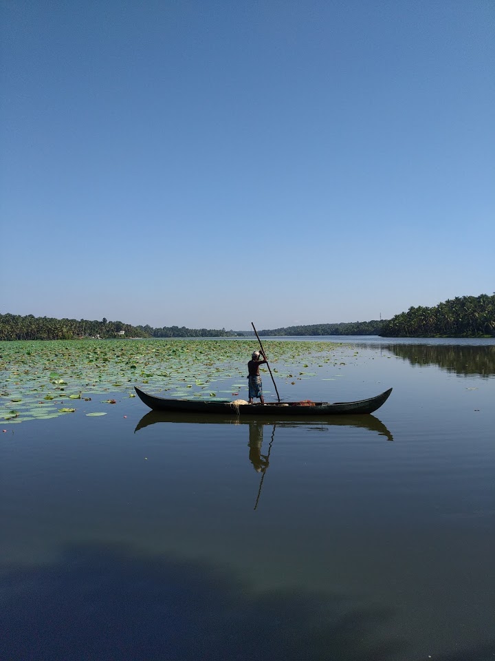Vellayani Lake