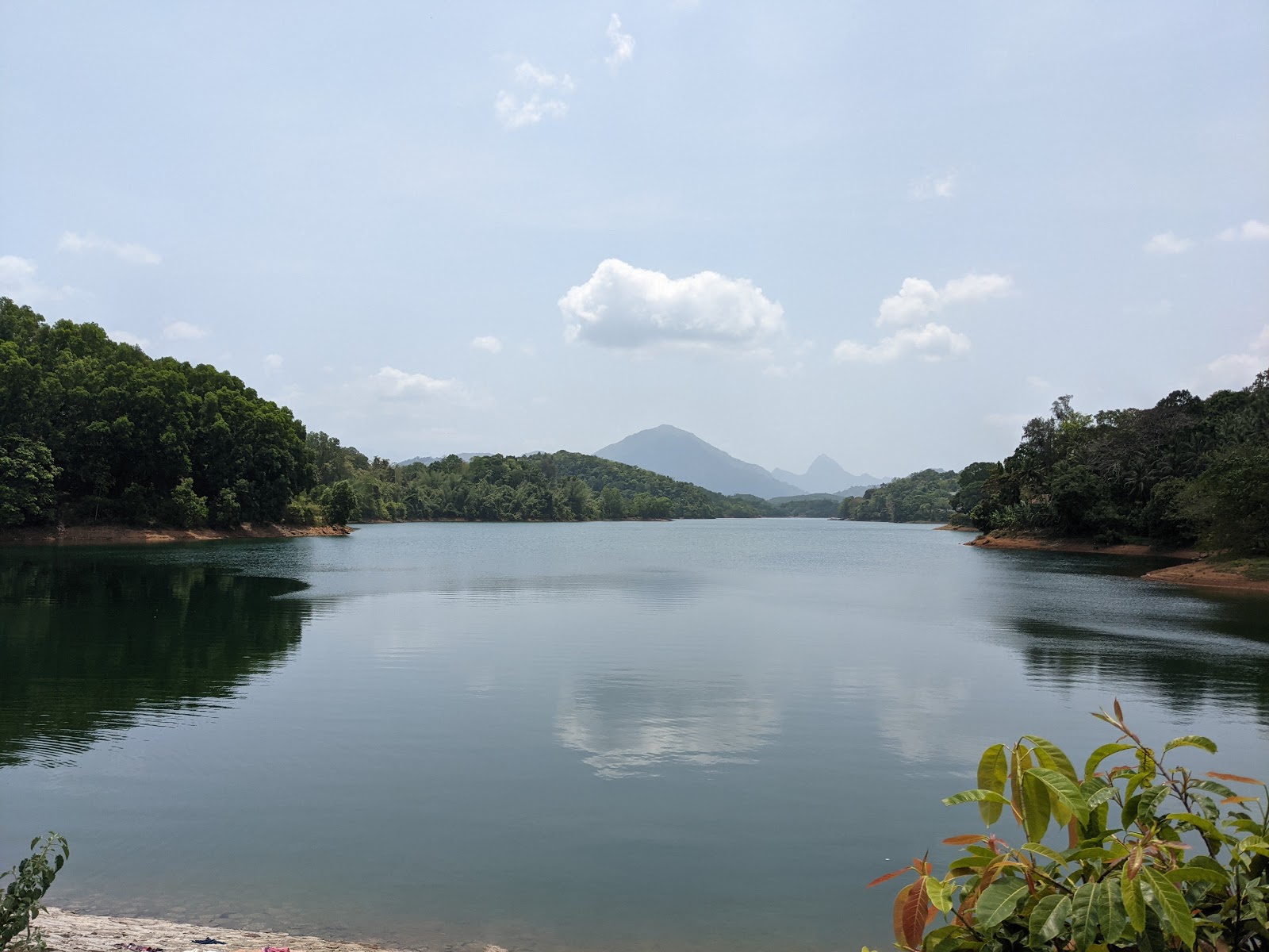 Neyyar Wildlife Sanctuary