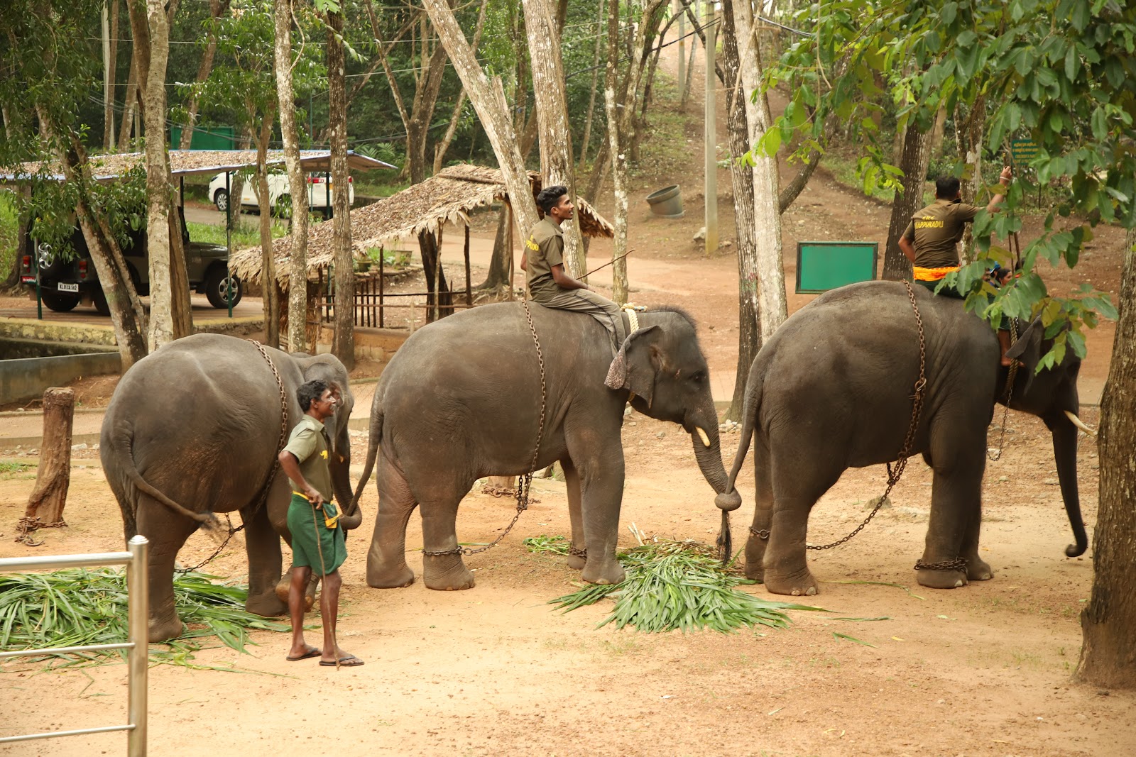 Neyyar Wildlife Sanctuary
