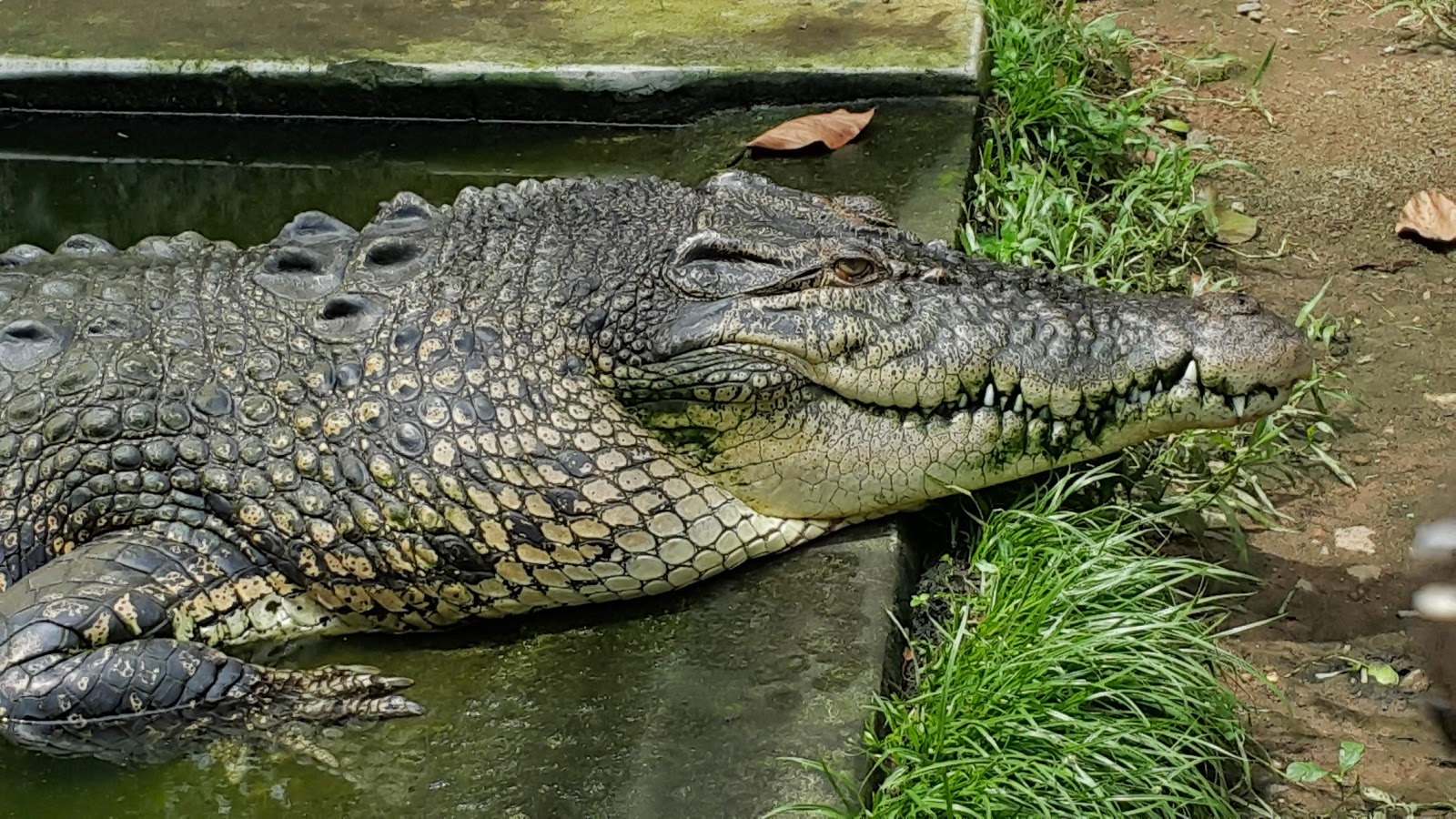 Neyyar Wildlife Sanctuary