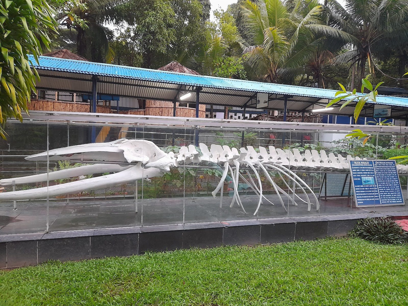 Samudrika Marine Museum