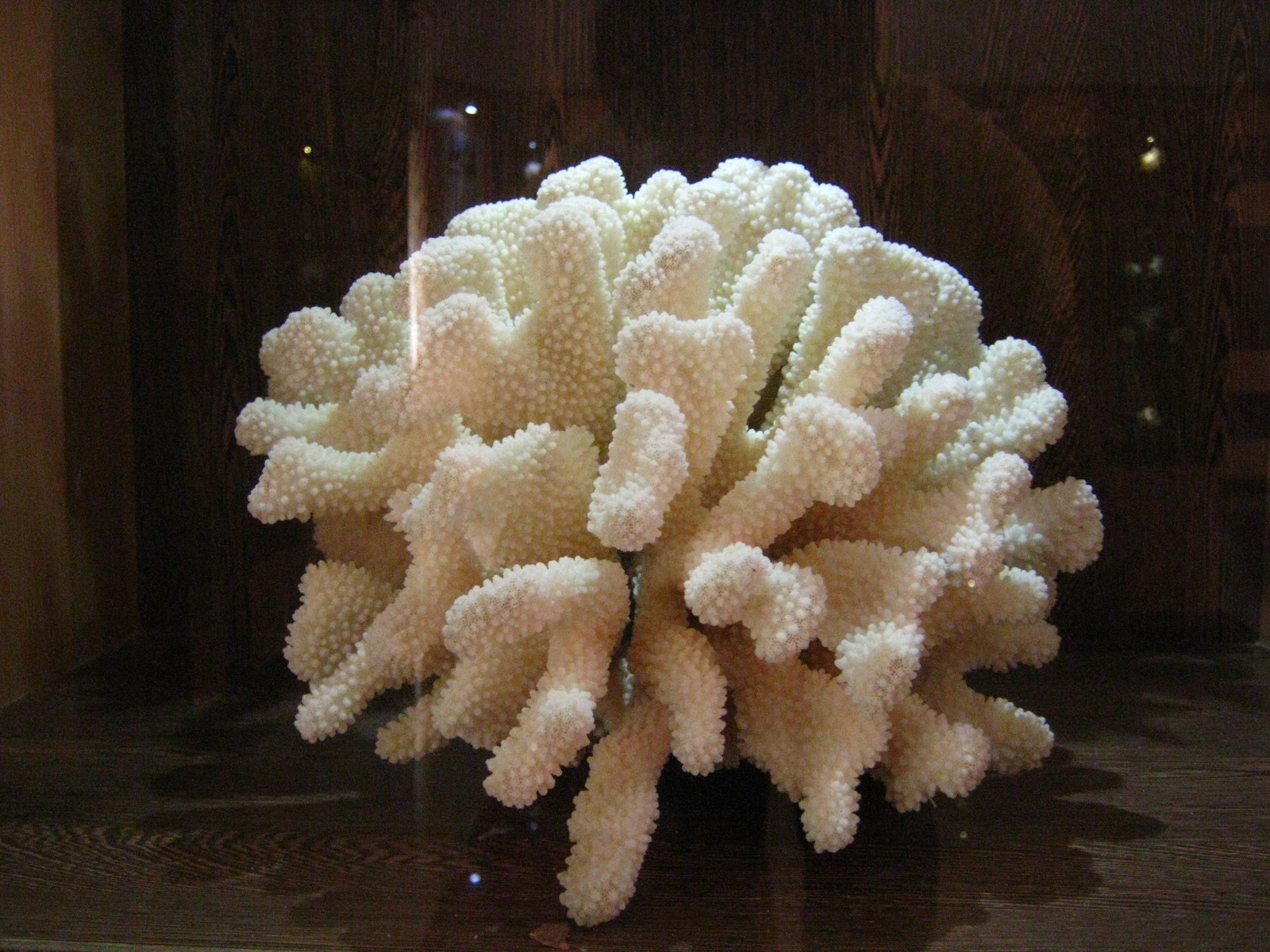 Samudrika Marine Museum