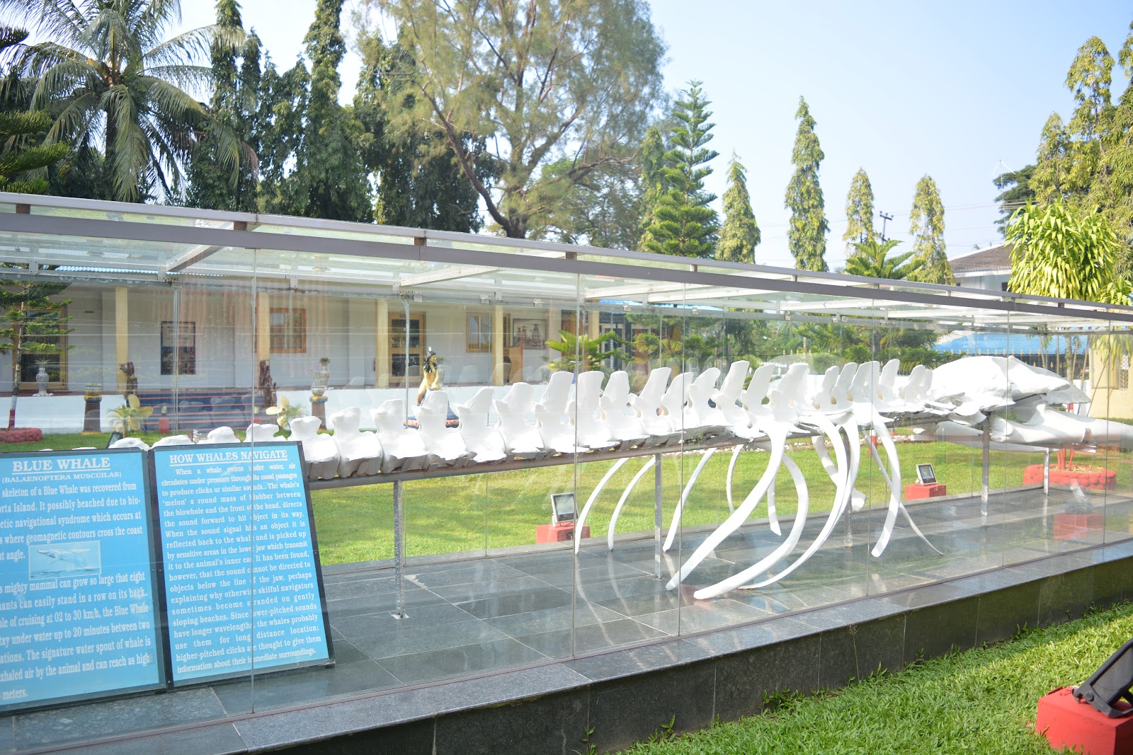 Samudrika Marine Museum