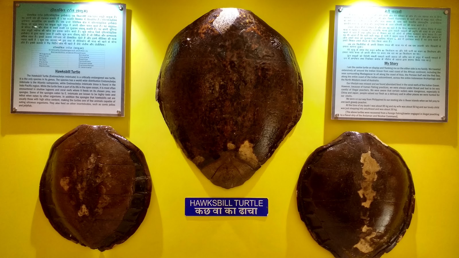 Samudrika Marine Museum