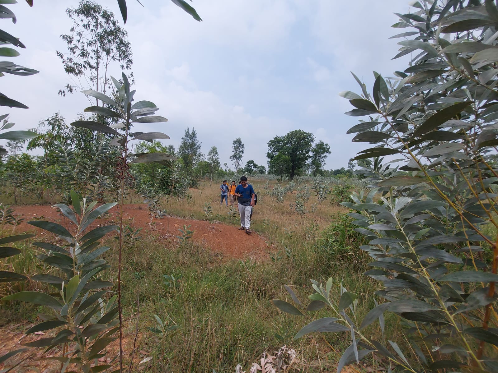 Amar Kutir