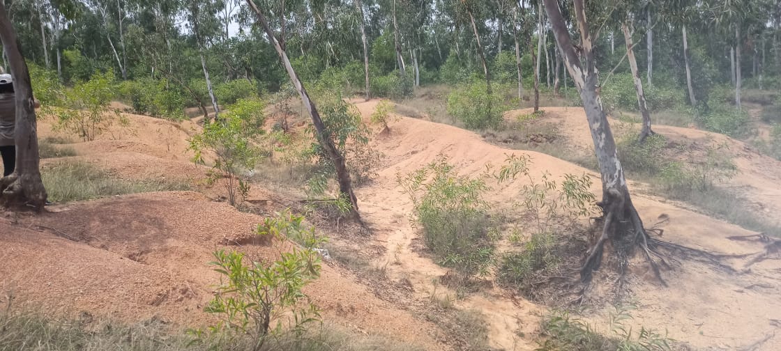 Amar Kutir