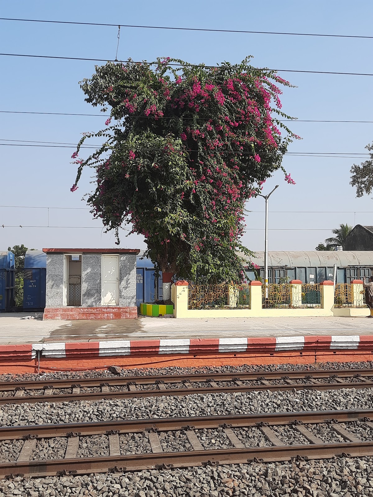 Amar Kutir