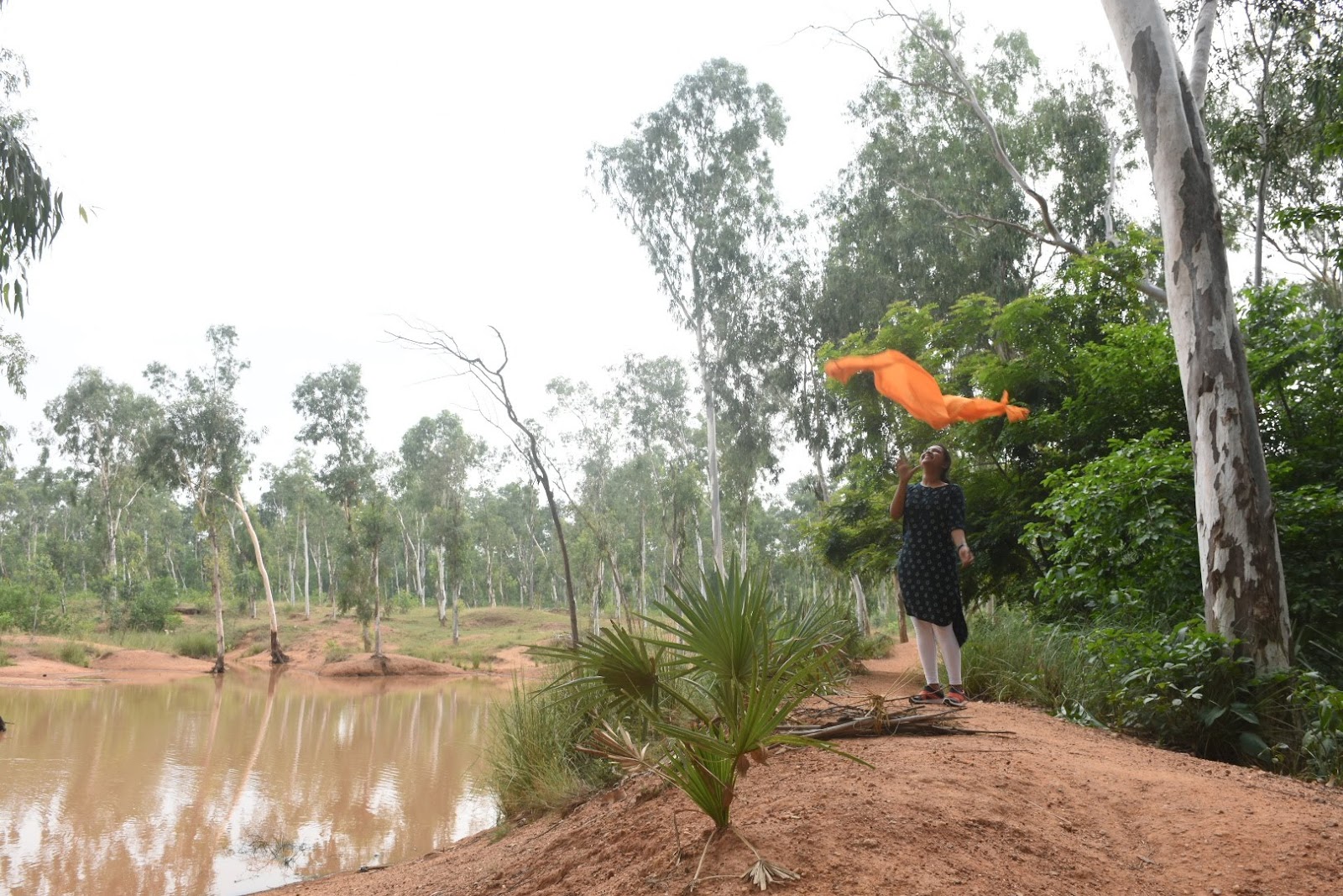 Sonajhuri Forest