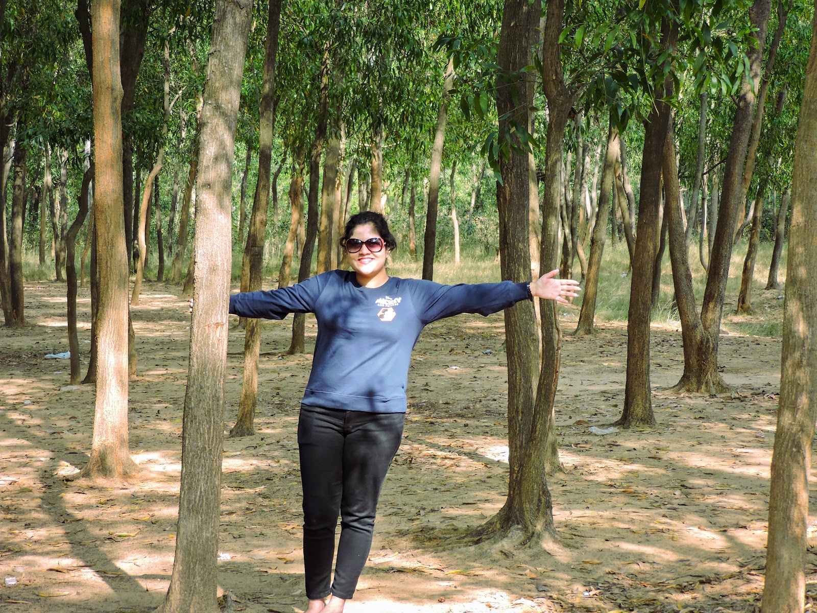 Sonajhuri Forest