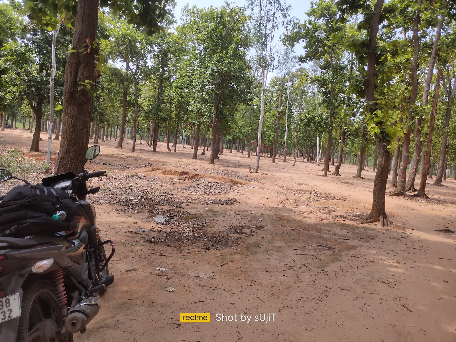 Sonajhuri Forest