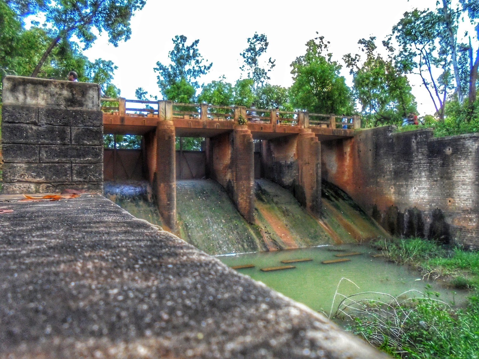 Sonajhuri Forest