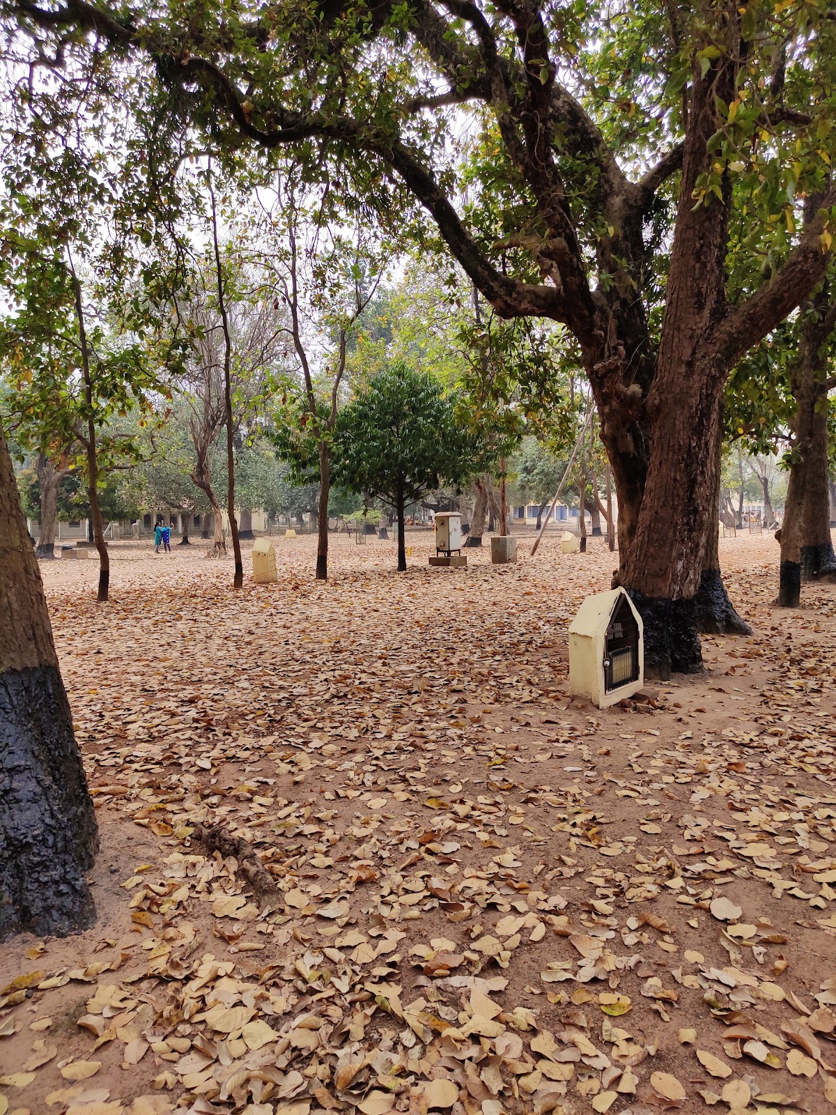Visva Bharati University