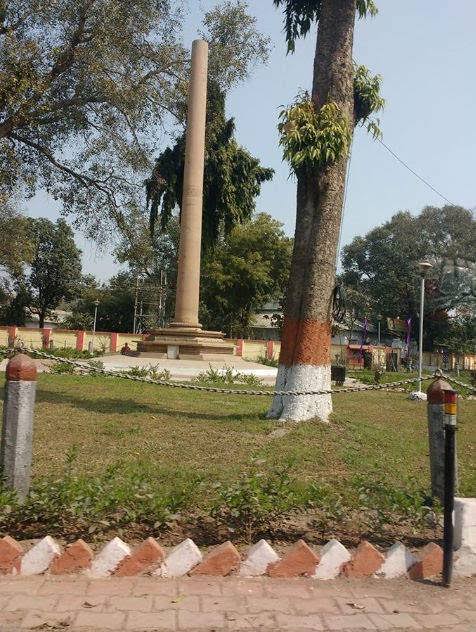 Ashoka Pillar
