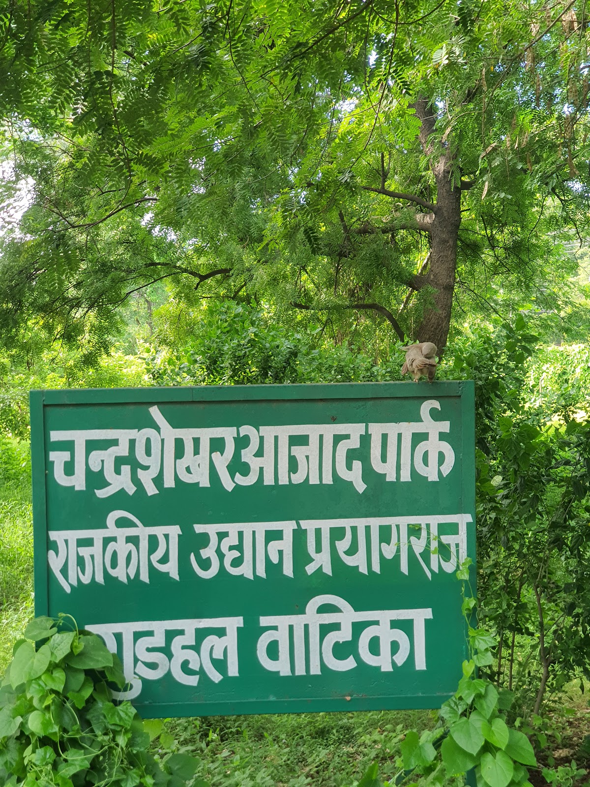 Chandrashekhar Azad Park