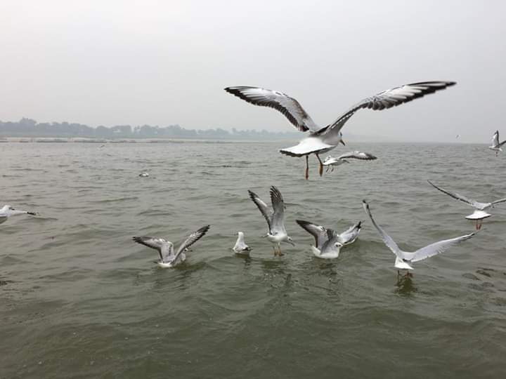 Triveni Sangam
