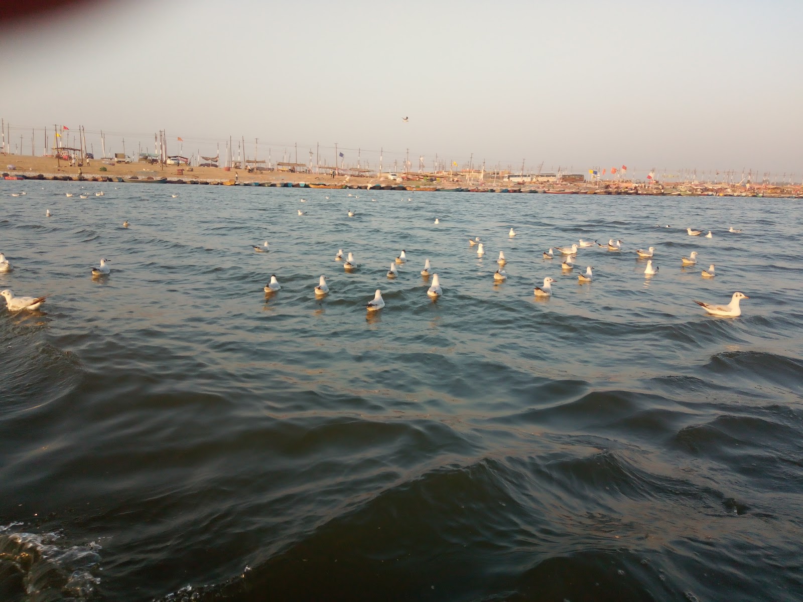Triveni Sangam
