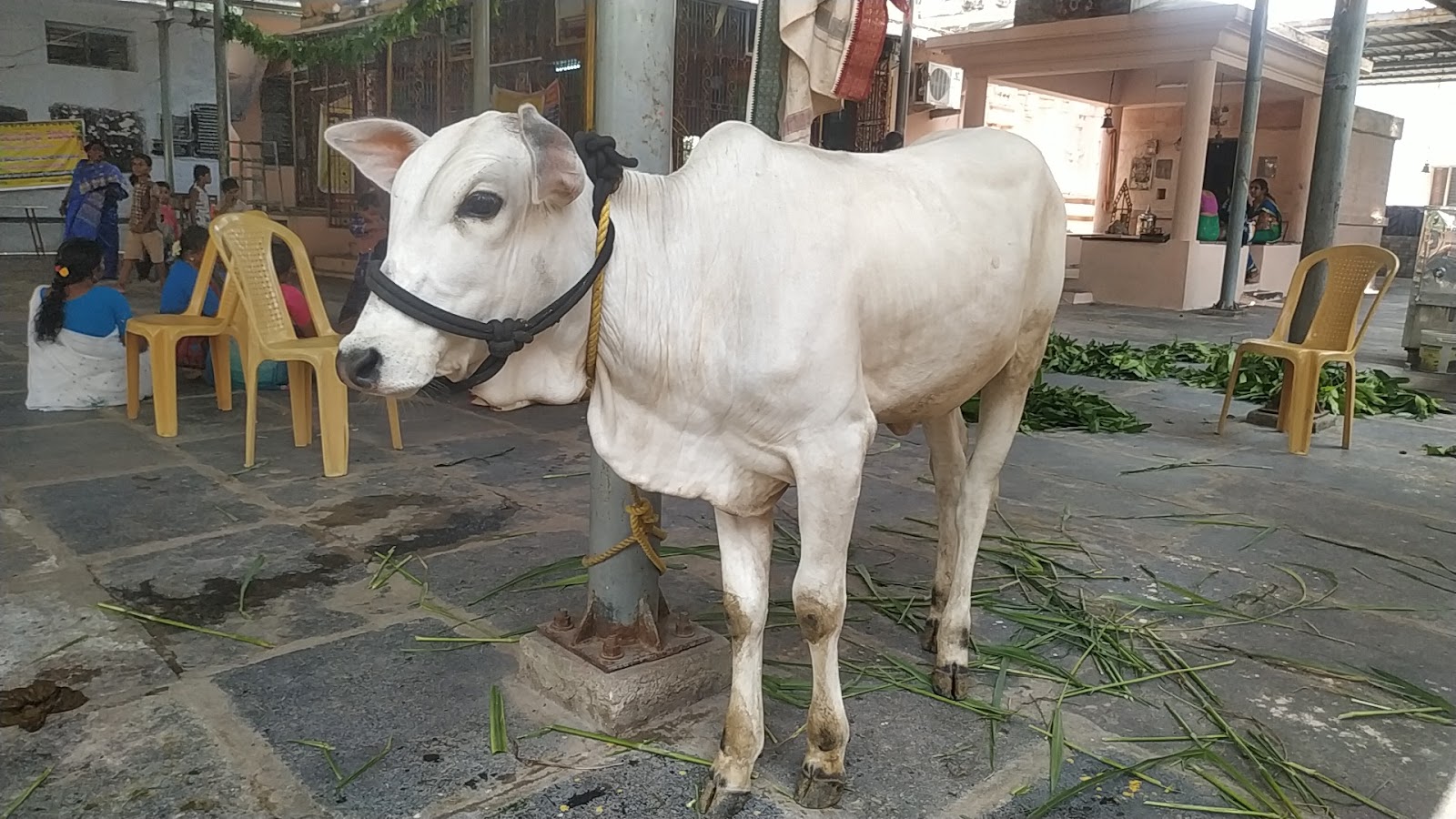 Sri Lakshmi Narasimha Swamy Temple