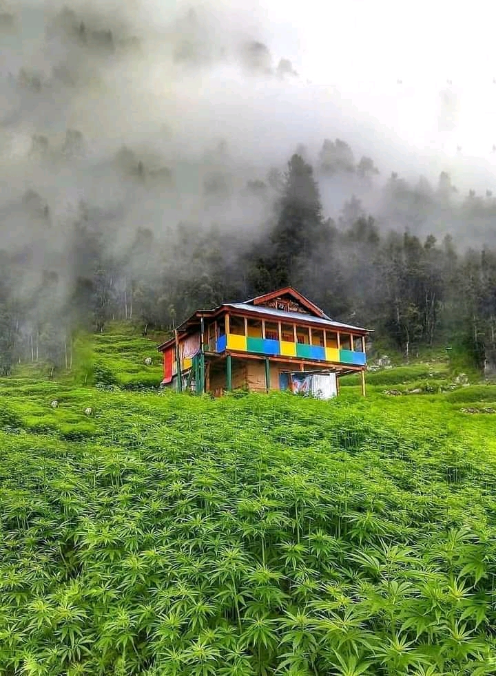 Malana Village