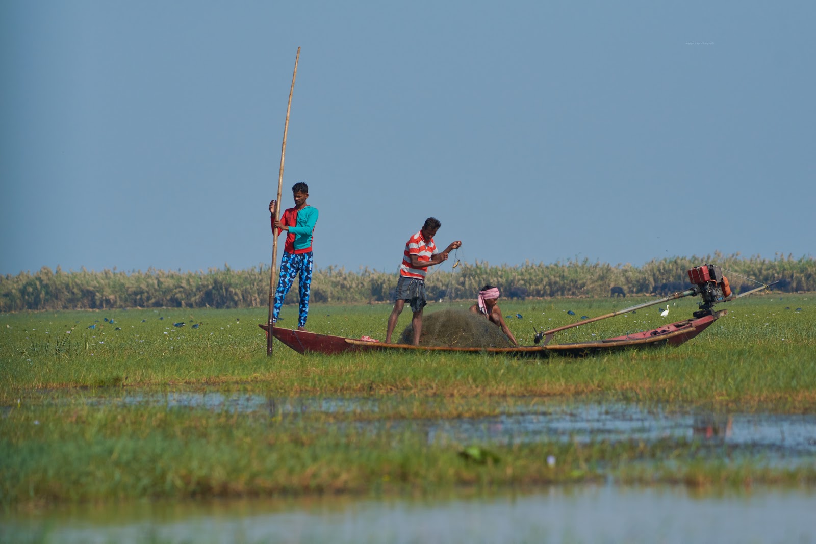 Mangalajodi Wetlands