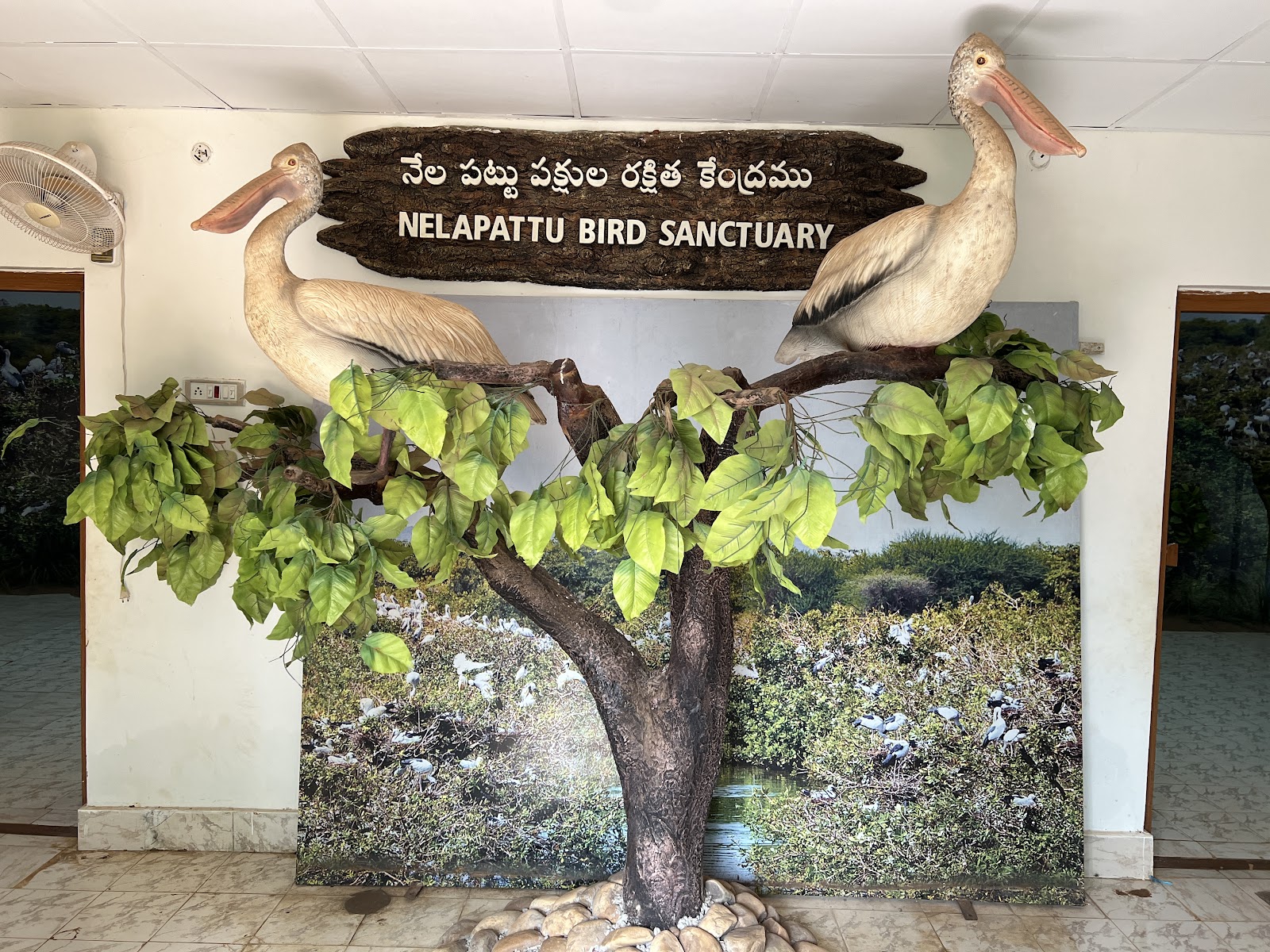 Nellapattu Bird Sanctuary