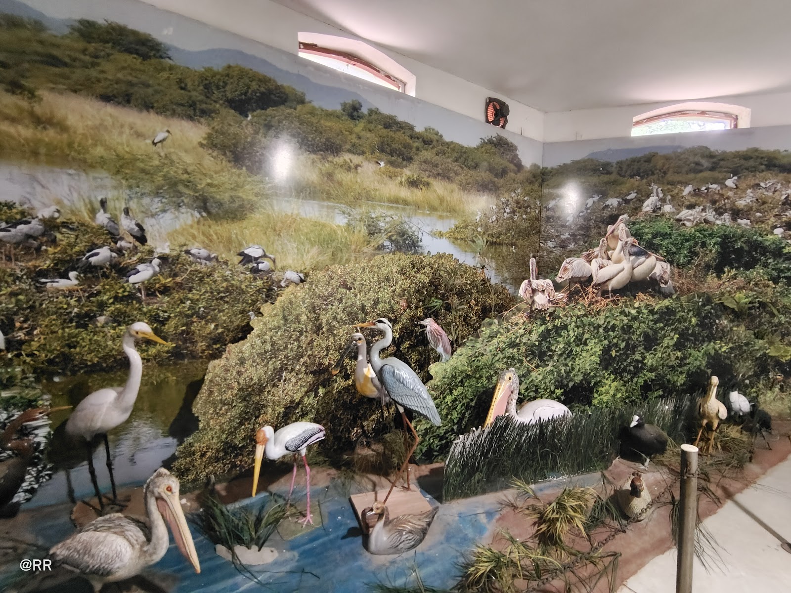 Nellapattu Bird Sanctuary