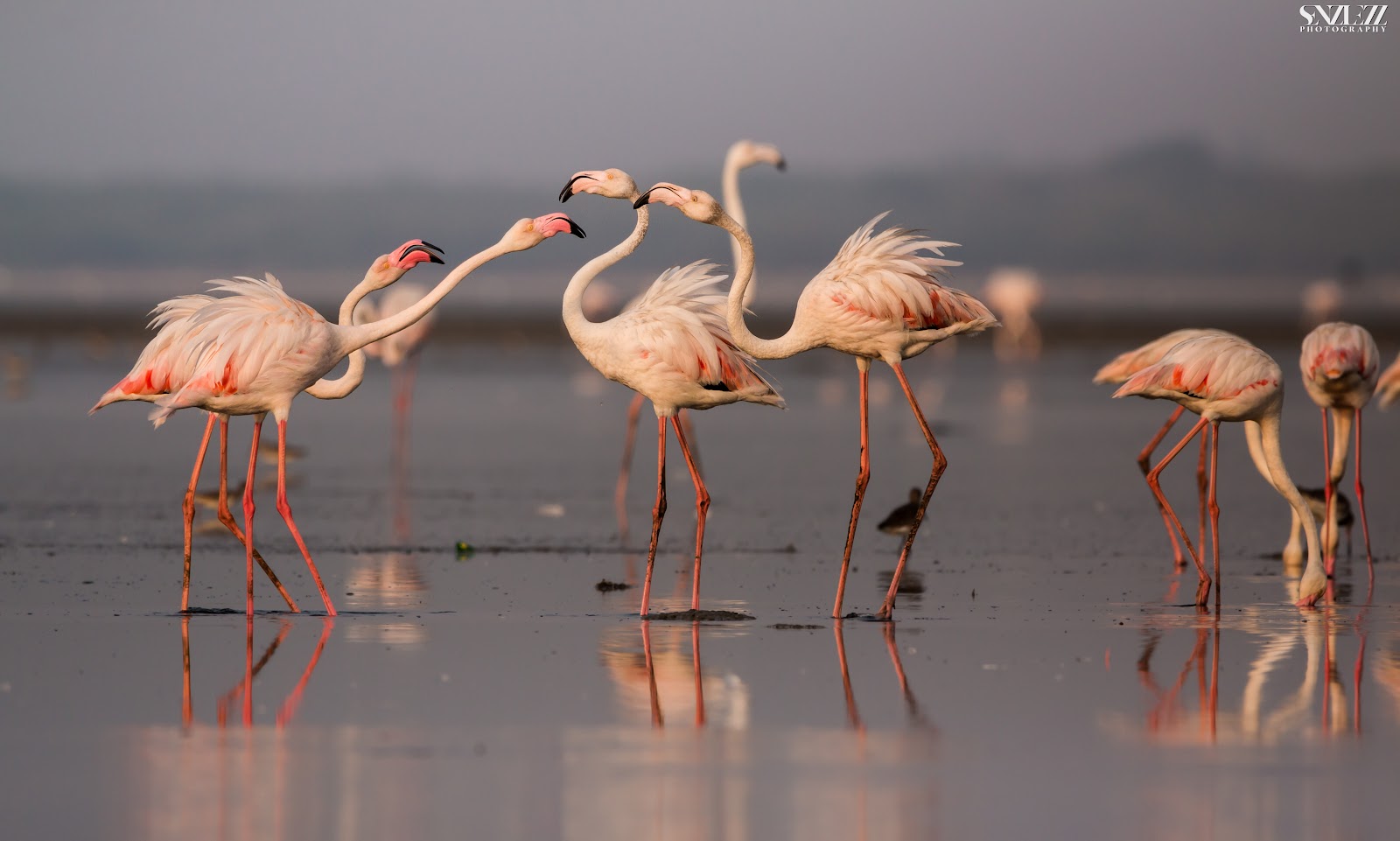 Pulicat Lake - A Natural Paradise in Tamil Nadu