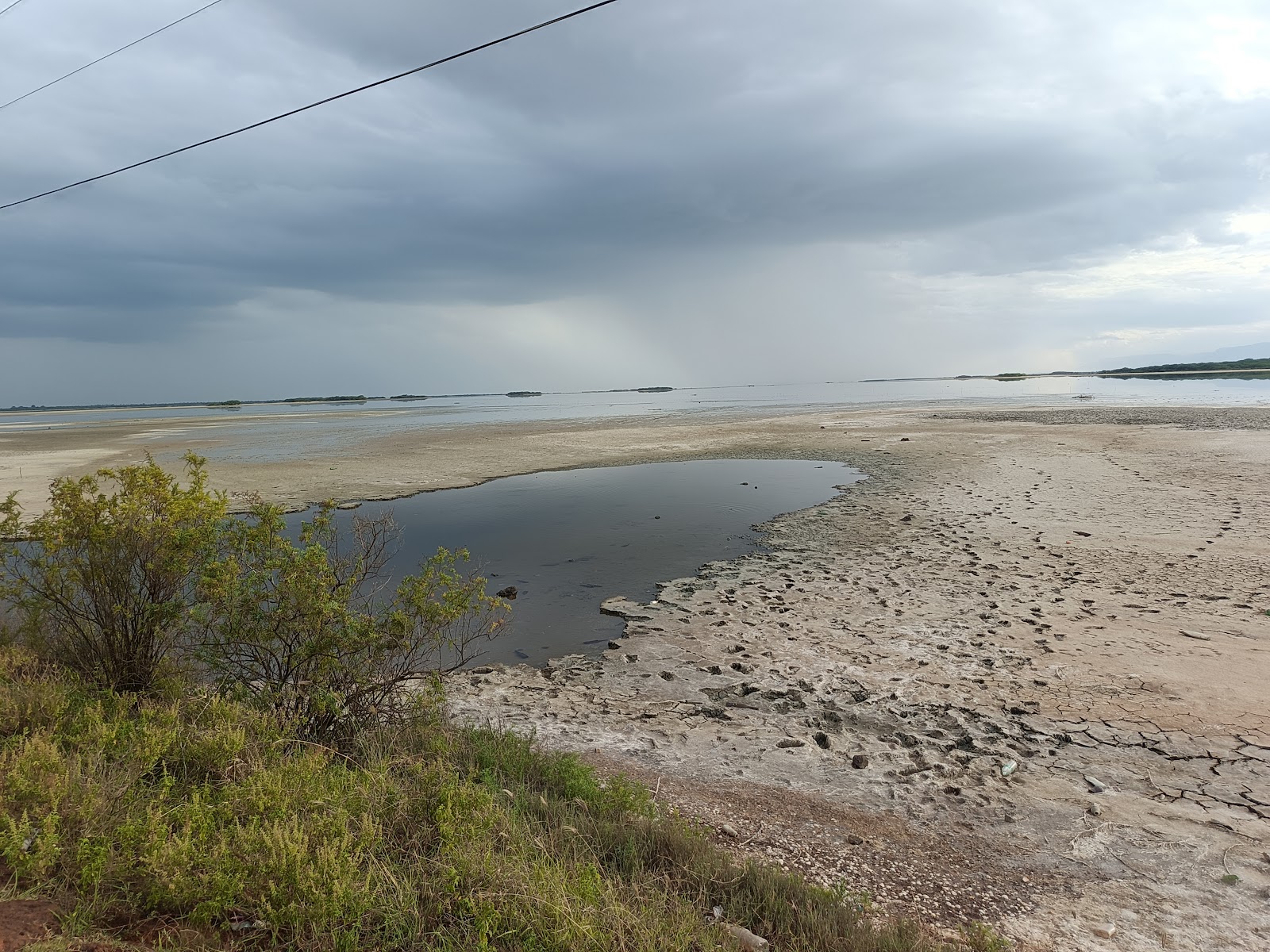 Pulicat Bird Sanctuary