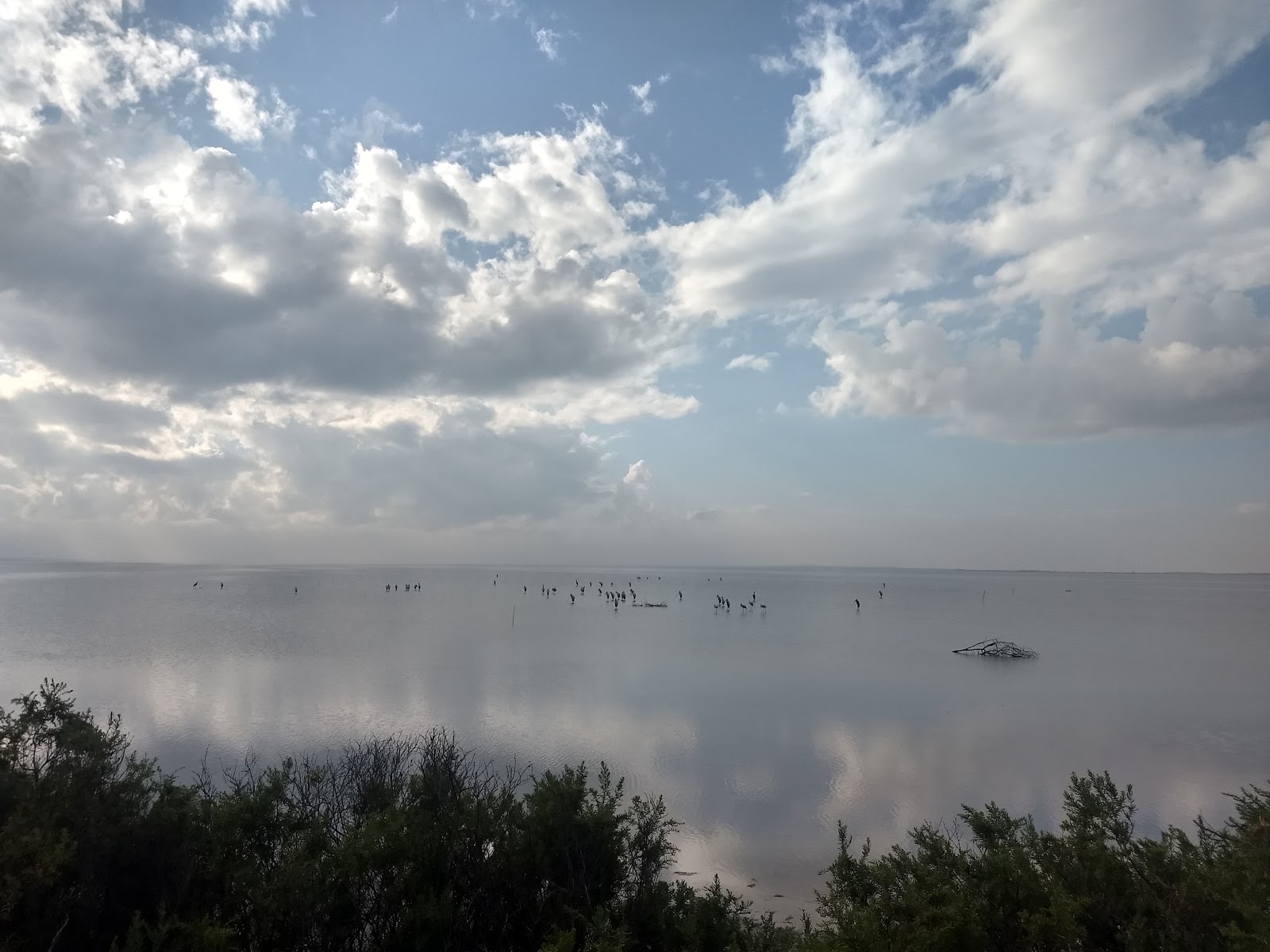 Pulicat Bird Sanctuary