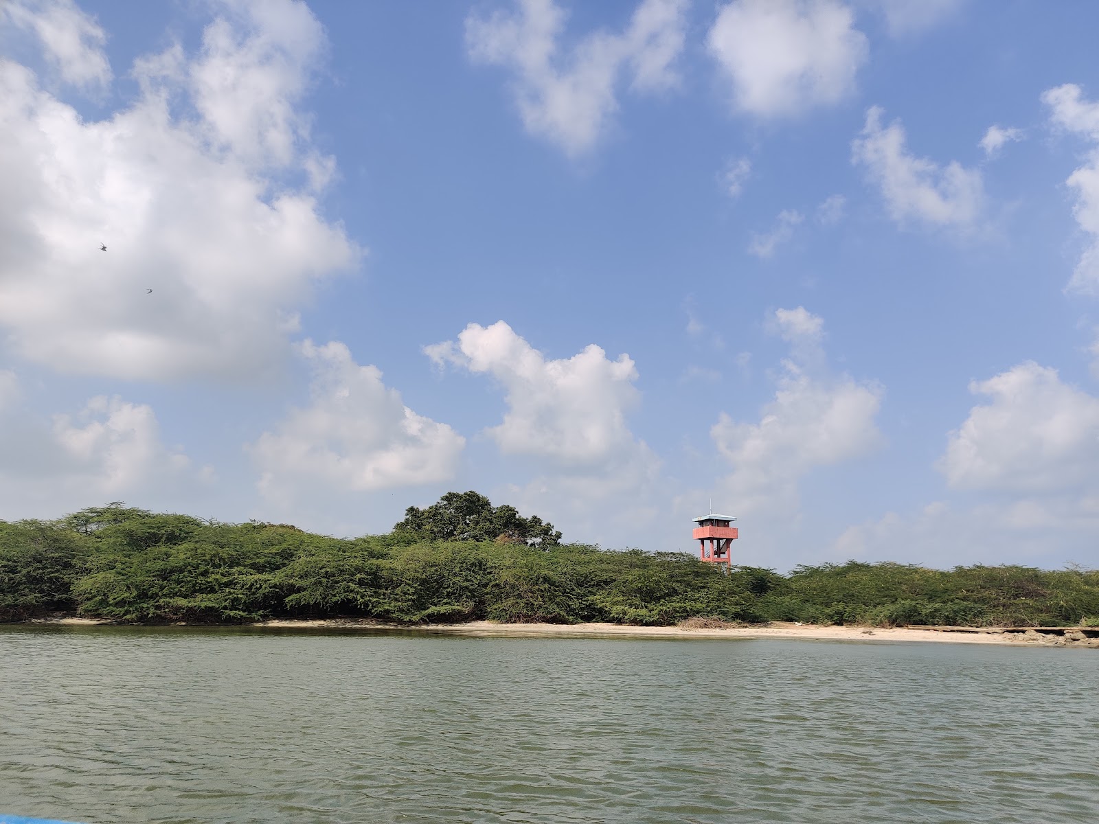 Pulicat Bird Sanctuary