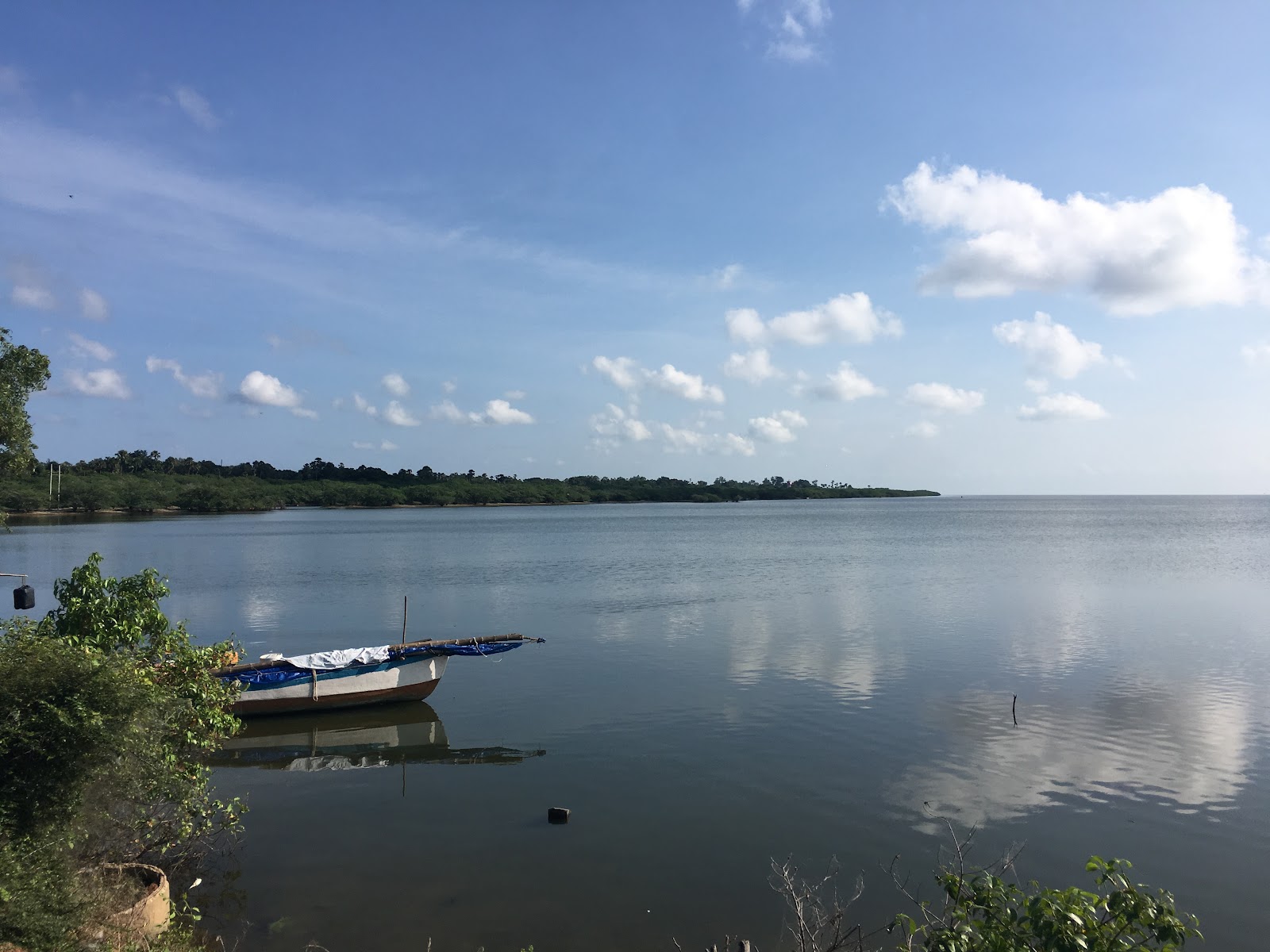 Pulicat Bird Sanctuary