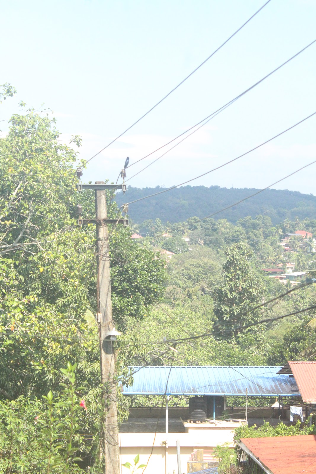Kottarakara Sree Devi Temple