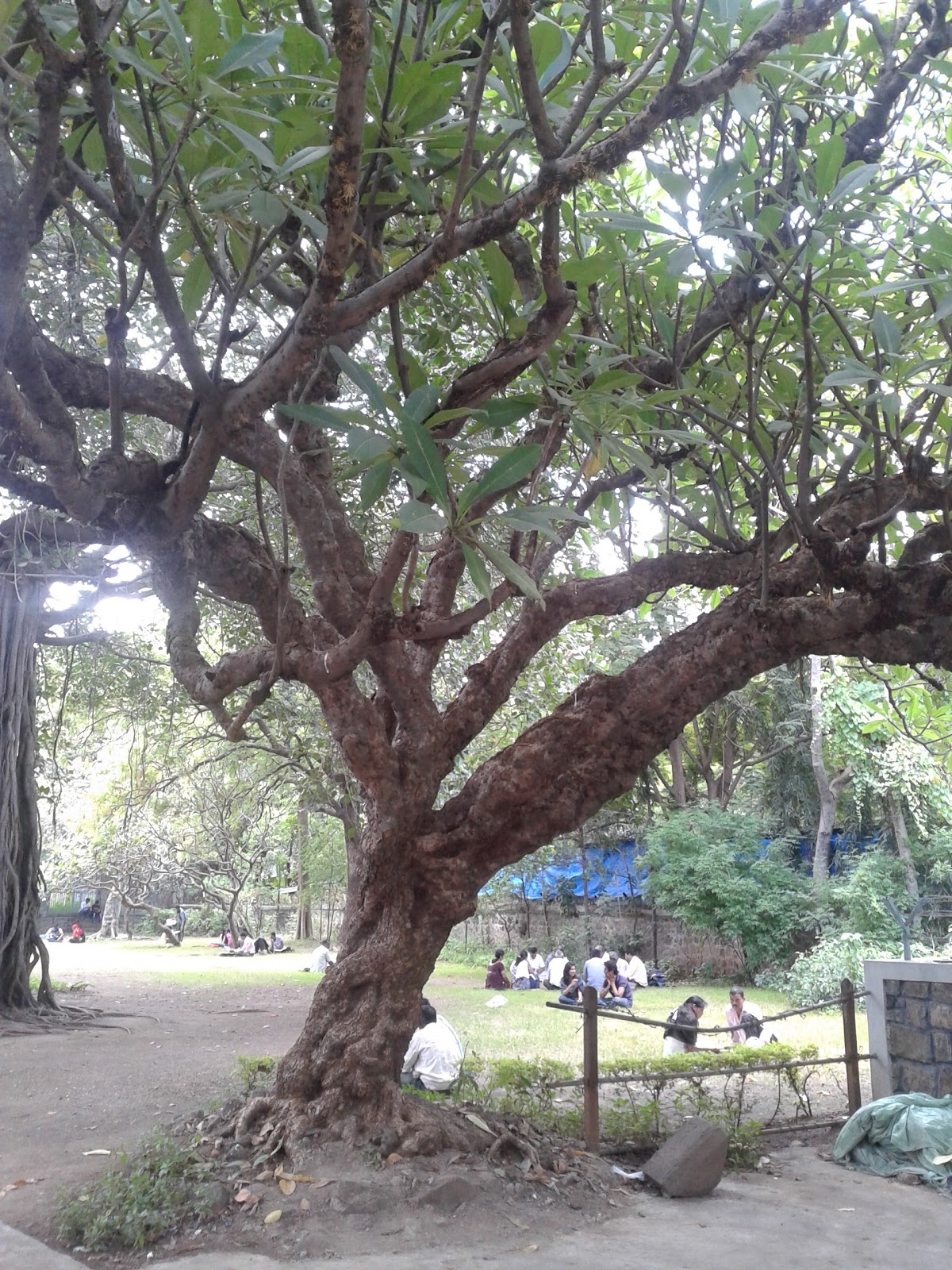 Pataleshwar Cave Temple