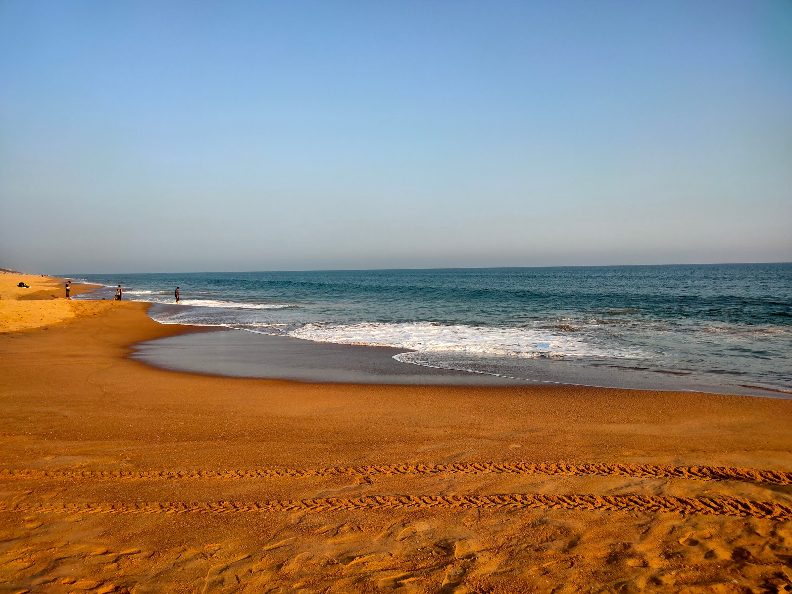 Balukhand - Konark Wildlife Sanctuary